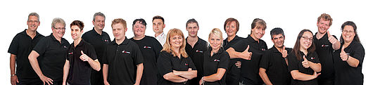 Laboratory team